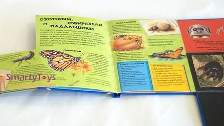 Детская книга Зоология 3D. Тайны пауков и насекомых фотография 3