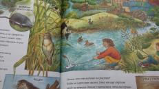 Фотография Развивающая книга Находилки-развивалки На реке 4+ предоставлена покупателем